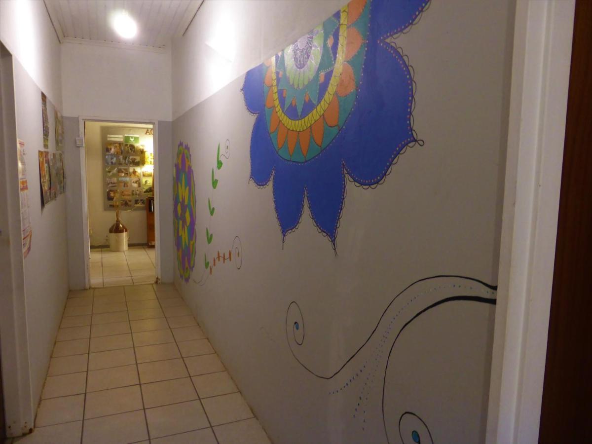 Orange Elephant Backpackers Pansiyon Addo Dış mekan fotoğraf